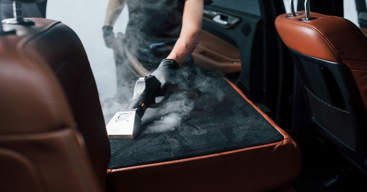 Interior Car Detailing: Removing Pet Hair, Stains & Odors